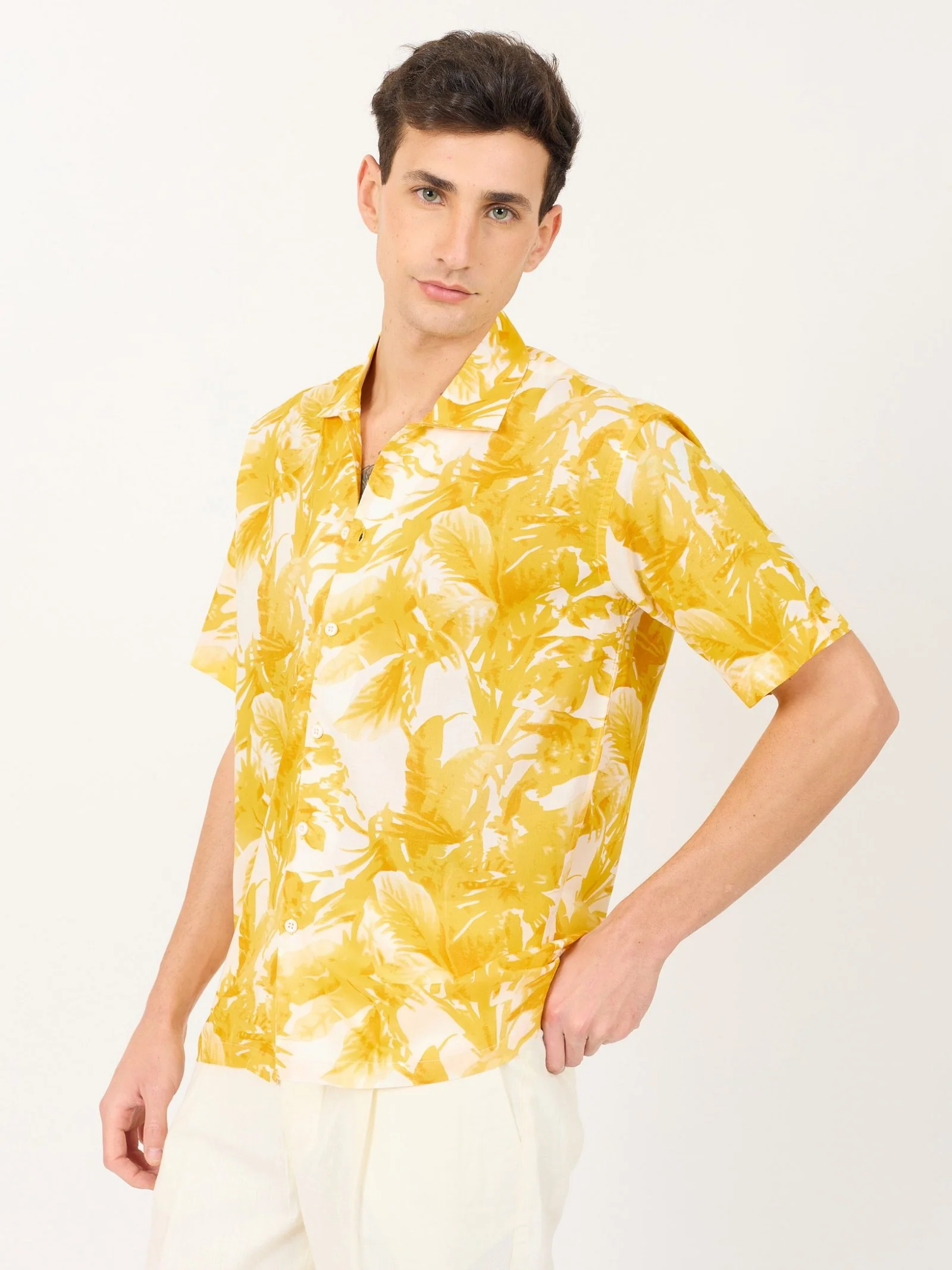 Sunny Palms - Image 4