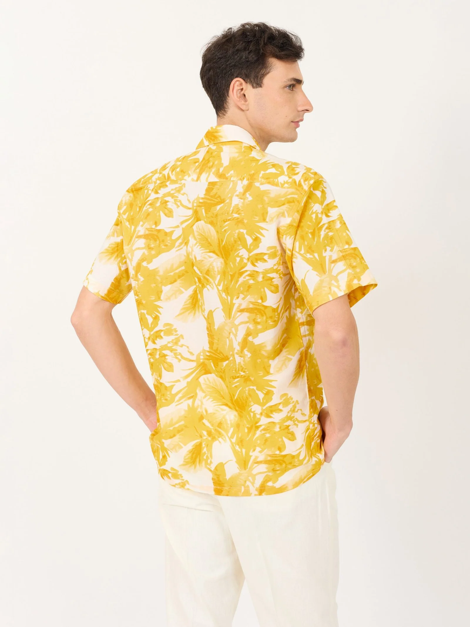 Sunny Palms - Image 5