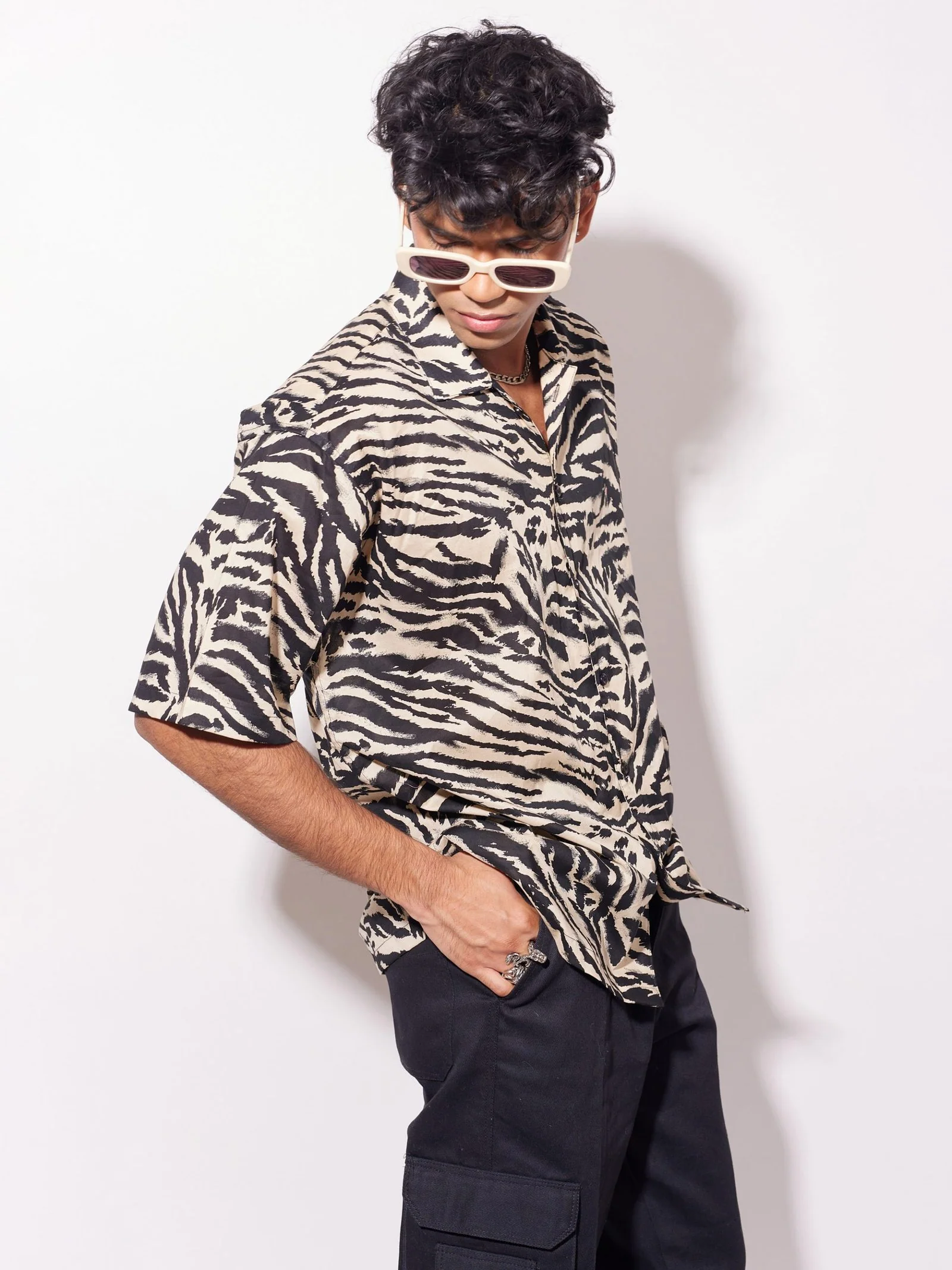 Zesty Zebra - Image 4