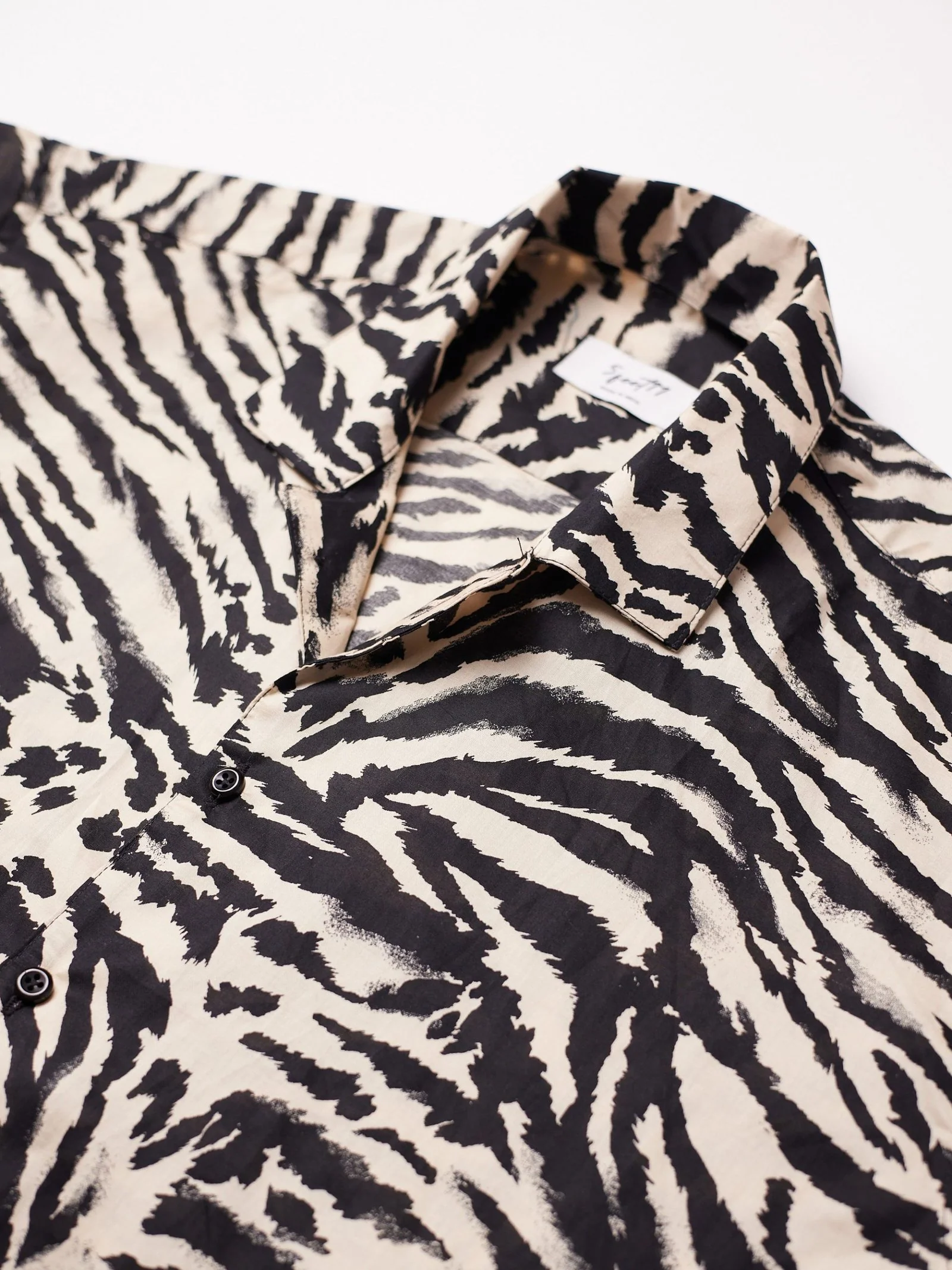 Zesty Zebra - Image 6